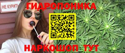 гидра Заводоуковск