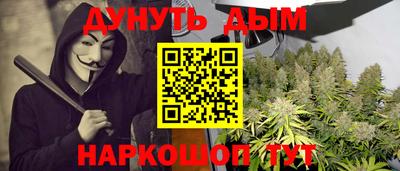 гидра Заводоуковск
