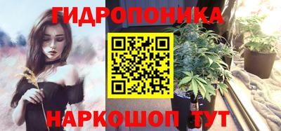 гидра Заводоуковск