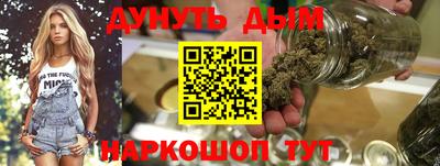 гидра Заводоуковск