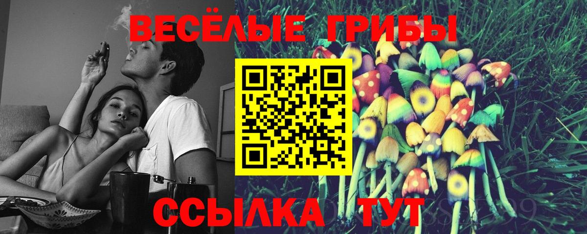Псилоцибиновые грибы Cubensis  Вход с VPN  Мирный  Псилоцибиновые грибы Cubensis 